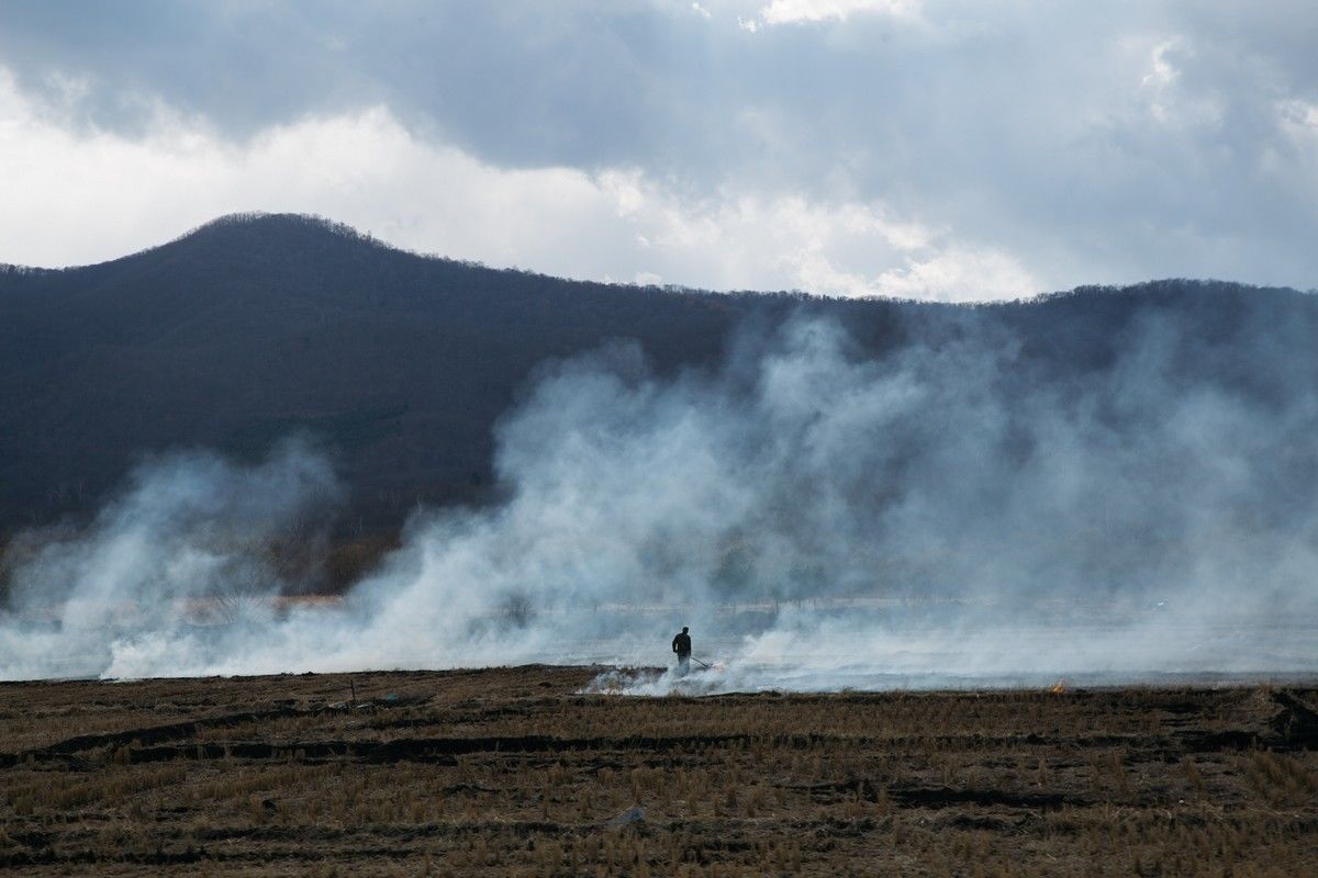 A villager burns straw