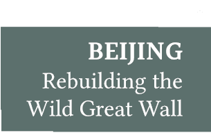 Rebuilding the Wild Great Wall